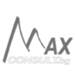 Max consult